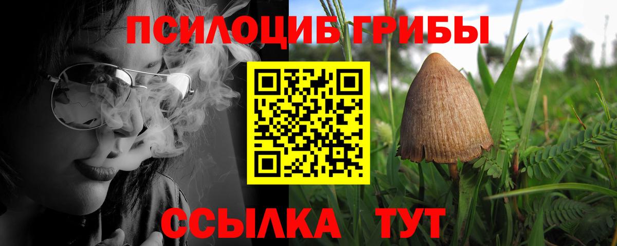 Псилоцибиновые грибы Magic Shrooms Оренбург